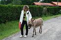 2009_06_06_biscarrosse_ 041